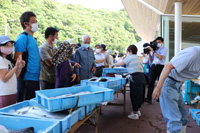 画像：プチ海の駅in下松市栽培漁業センターの開催について３