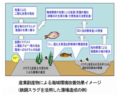 画像:海砂採取による深掘跡の修復による海洋環境の改善2