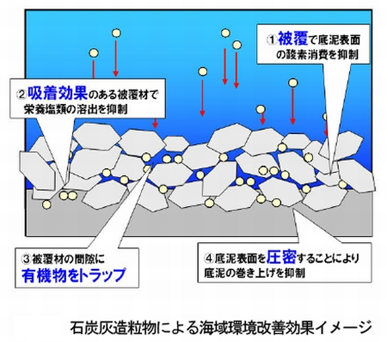 画像：海砂採取による深掘跡の修復による海洋環境の改善5