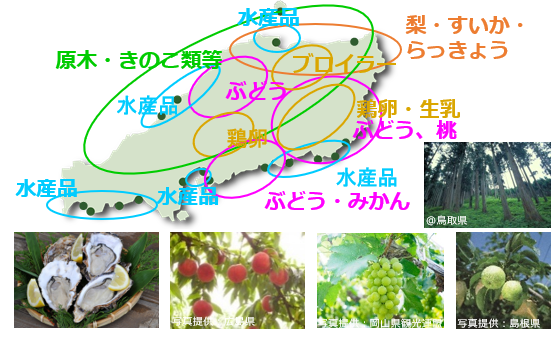画像:各地域の特産品の例