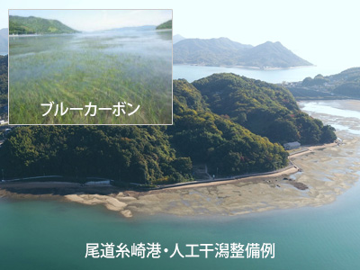海洋環境整備