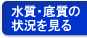 水質・底質の状況を見る