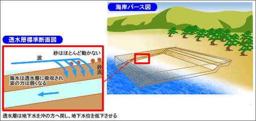 海水は透水層に吸収され波の力は弱くなるが、砂はほとんど動かない。透水層は地下水を沖の方へ戻し、地下水位を低下させる