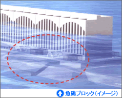 魚礁ブロック イメージ図